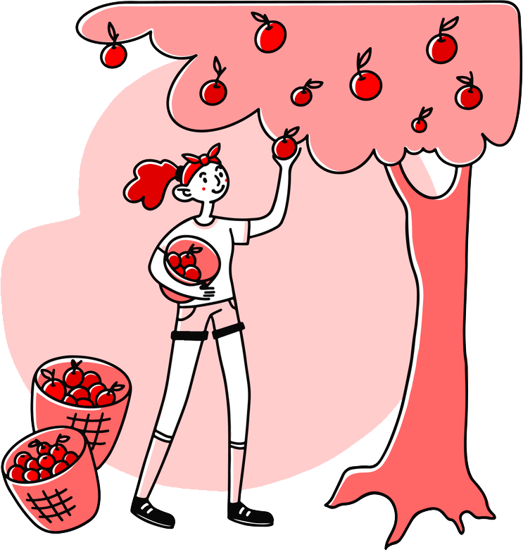 woman picking apples illustration